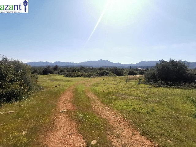 LAND WITH SEA VIEW IN ESENTEPE