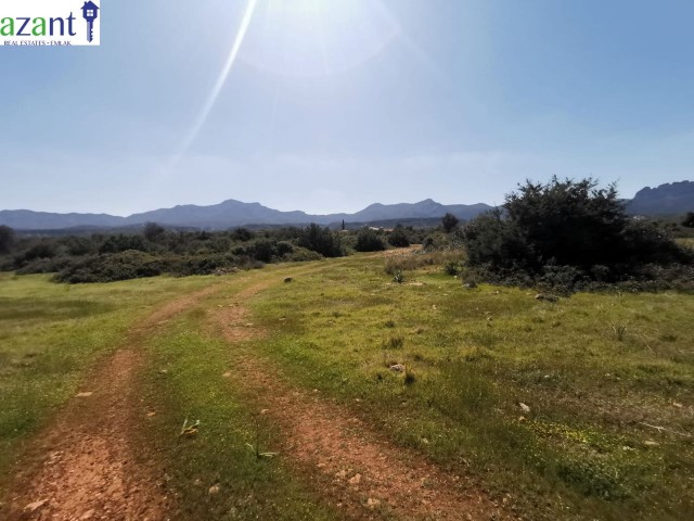 LAND WITH SEA VIEW IN ESENTEPE