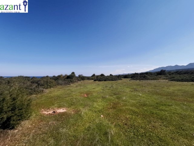 LAND WITH SEA VIEW IN ESENTEPE