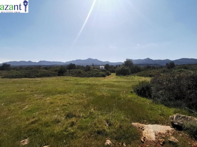 LAND WITH SEA VIEW IN ESENTEPE