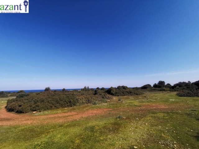 LAND WITH SEA VIEW IN ESENTEPE