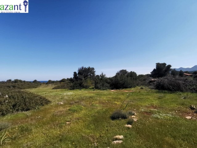 LAND WITH SEA VIEW IN ESENTEPE