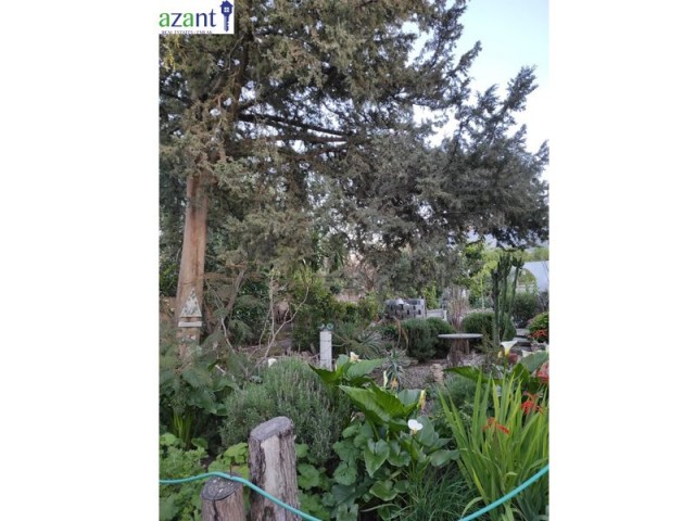 BUNGALOW MIT 2 SCHLAFZIMMERN MIT GARTEN IN ALSANCAK ** 