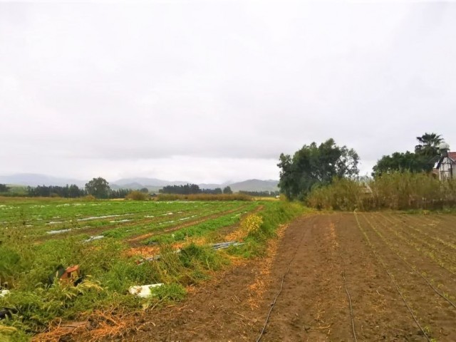 LAND WITH SEA VIEW IN CENGIZKOY