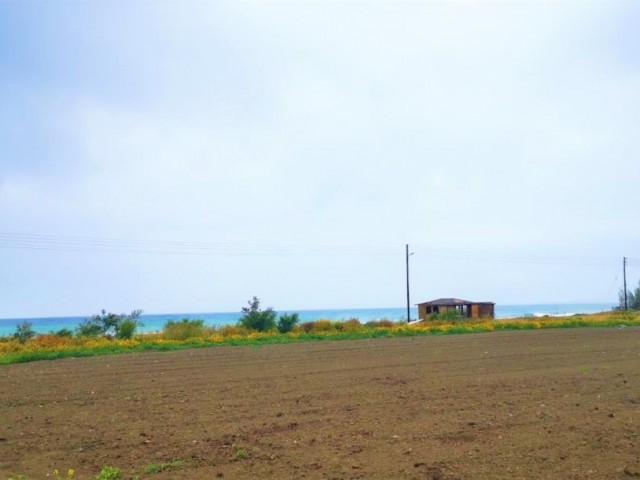 LAND WITH SEA VIEW IN CENGIZKOY