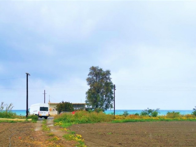 LAND WITH SEA VIEW IN CENGIZKOY