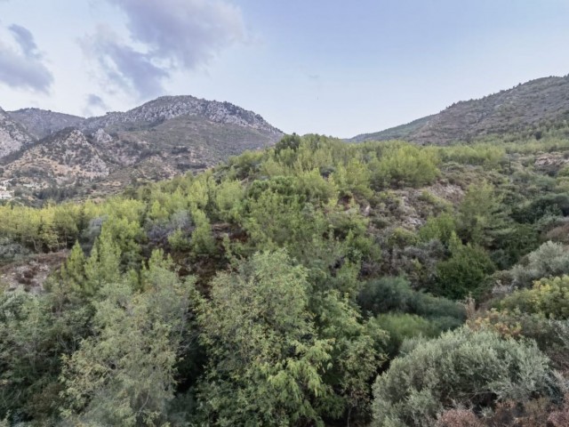 Unfertiges Gebäude Kaufen in Malatya, Kyrenia