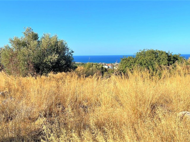 LAND WITH SEA VIEW IN KARSIYAKA