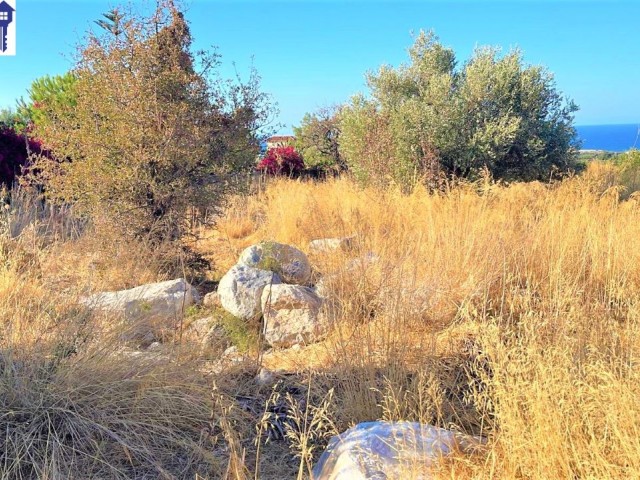 LAND WITH SEA VIEW IN KARSIYAKA