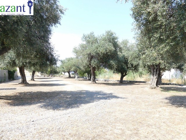 ALSANCAK'TA 3 YATAK ODALI MUHTEŞEM BUNGALOW