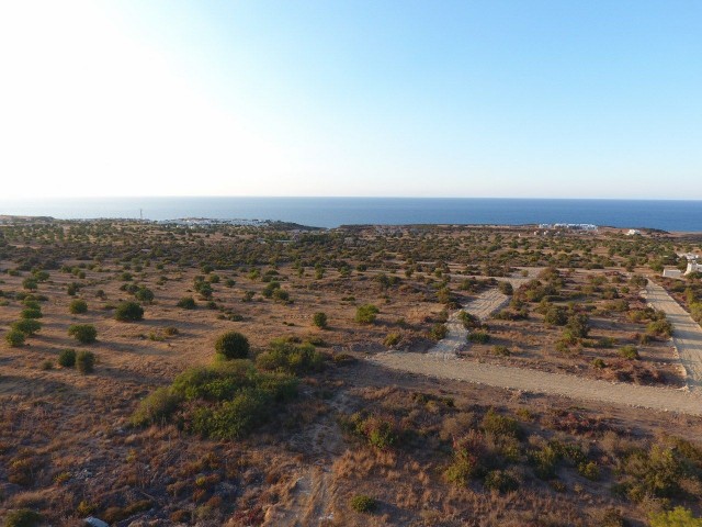 FRISCHWASSER IST AUCH EIN LAND MIT MEERBLICK, DAS NICHT ABGESCHNITTEN WIRD ** 