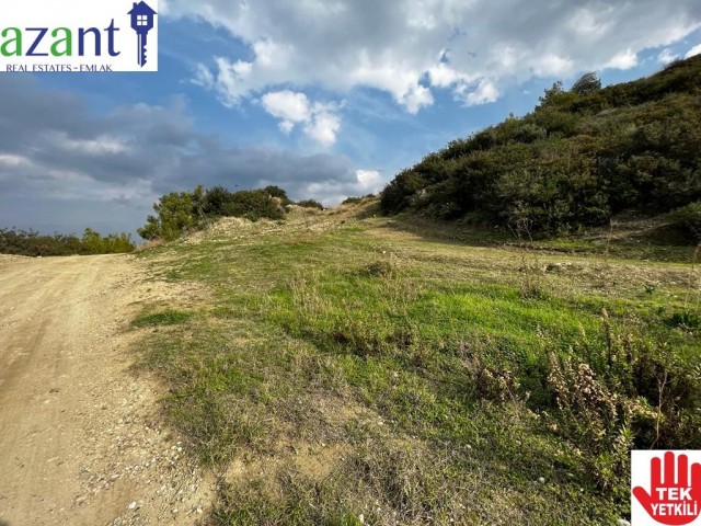 LAND WITH SEA VIEW IN KARSIYAKA