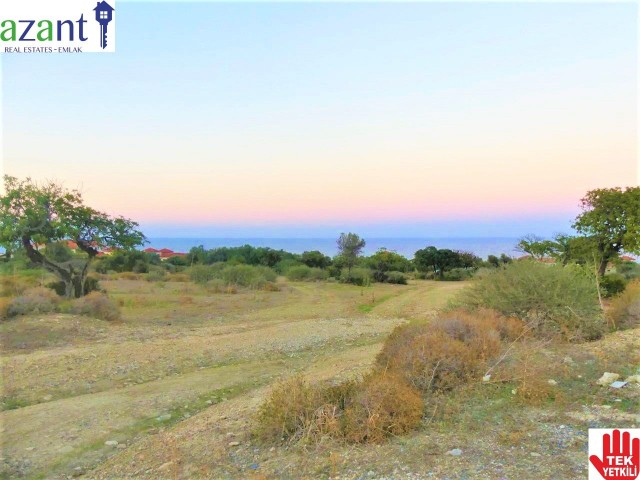 Wohngebiet Kaufen in Kayalar, Kyrenia