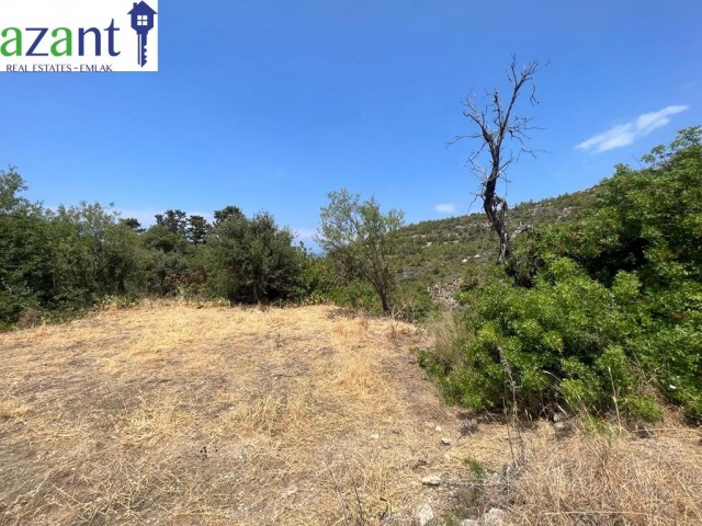 FOR SALE PLOT- MALATYA, KYRENİA, NORTH CYRUS