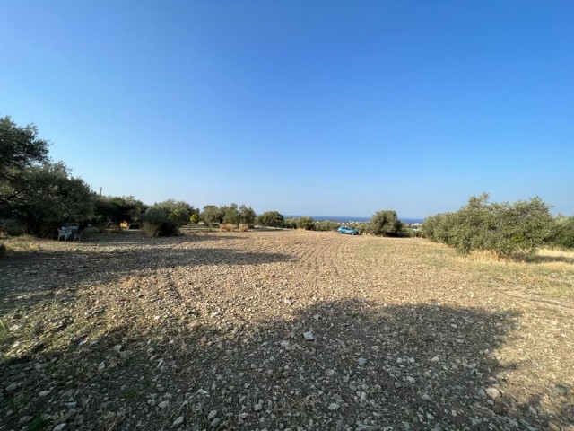 LAND ZU VERKAUFEN IN KARIYAKA