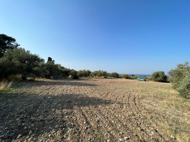 LAND FOR SALE IN KARIYAKA