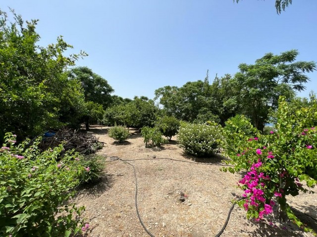 Villa mit 3 Schlafzimmern und herrlicher Aussicht in Başpınar