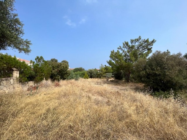 Land For Sale In Karaagac