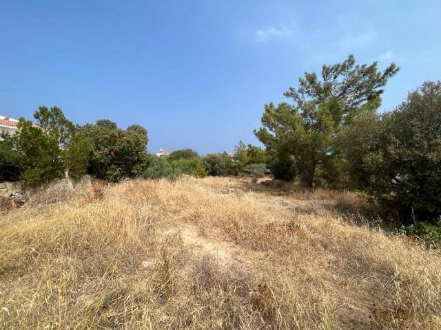 Land For Sale In Karaagac