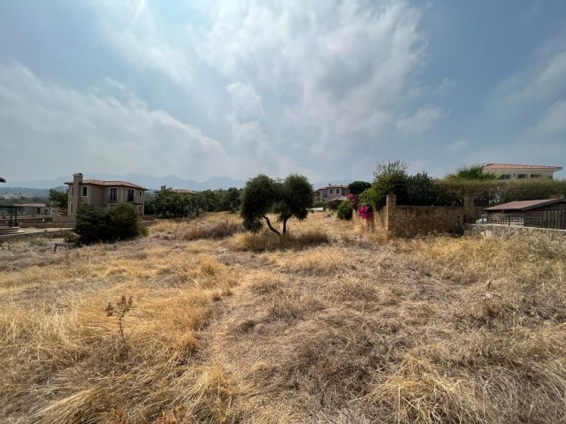 Land For Sale In Karaagac