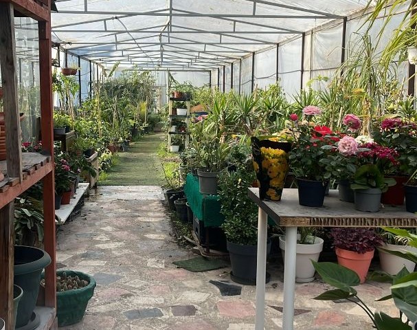 Turnkey Rental Opportunity: Garden Center for Rent