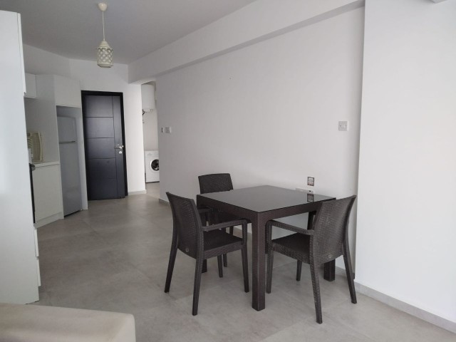 Perfect 1+1 Apartment in GaziVereN