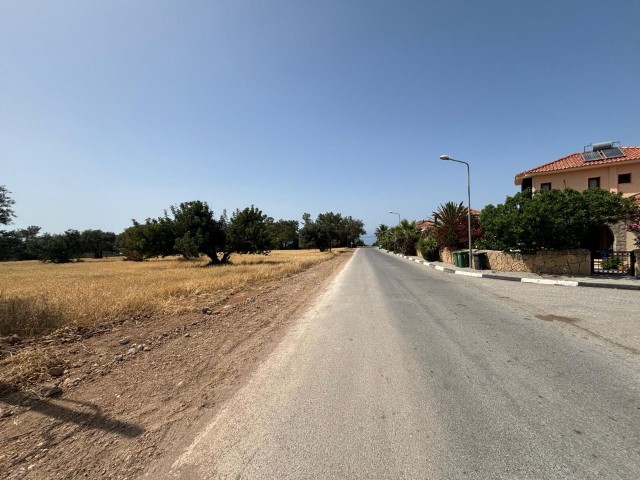 Land For Sale In Prime Location