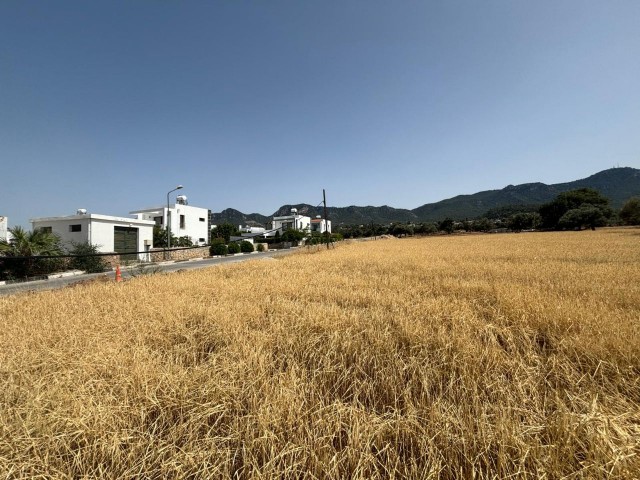 منطقه مسکونی برای فروش in Karaağaç, گیرنه