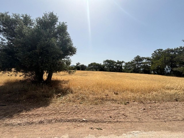 Land For Sale In Prime Location