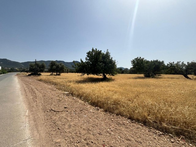 Wohngebiet Zu verkaufen in Karaağaç, Kyrenia