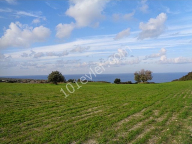 Great Plot With Stunning Views