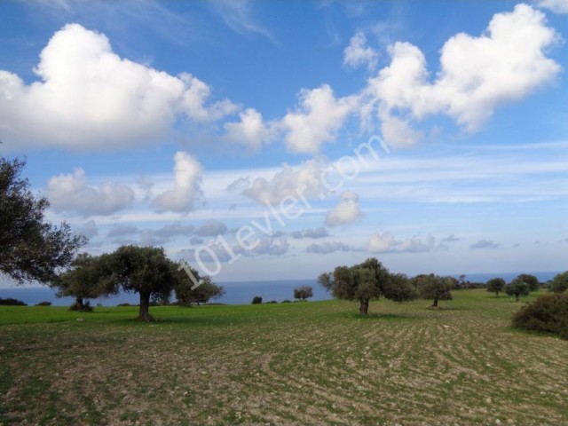 Great Plot With Stunning Views