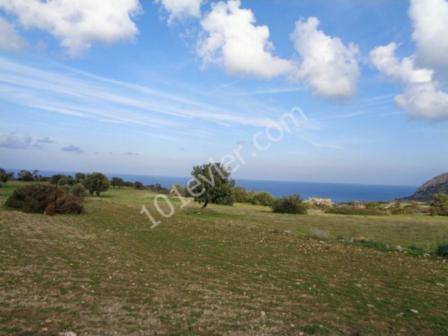 Great Plot With Stunning Views