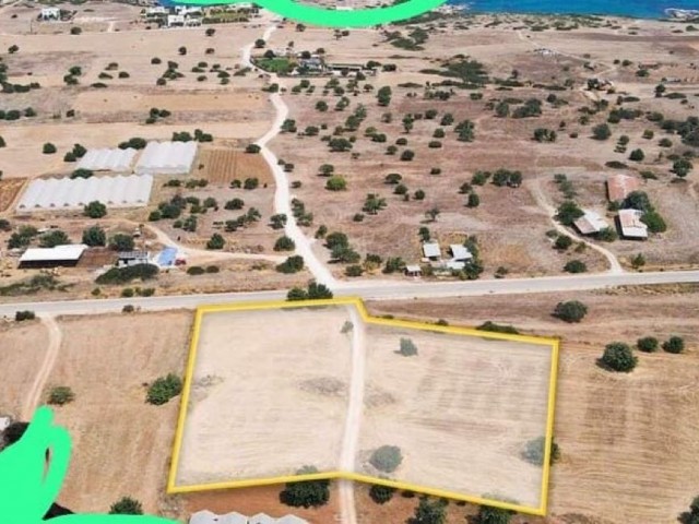 6 acres of land next to the main road in Tatlısu is for sale