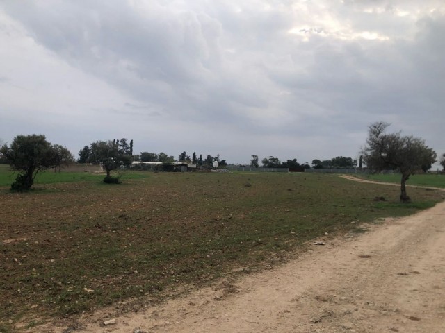 In Mormenekşe steht ein 5 Dekar großes Feld mit einer offiziellen Straße, in der Nähe von Zonenflächen und einer Asphaltstraße zum Verkauf.