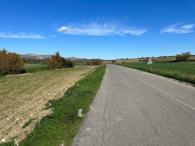 1 Dekar großes Feld neben der Asphaltstraße neben dem Dorf in İskele Yarköy