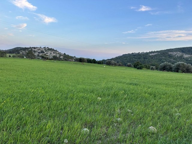 Feld mit offiziellen Straßen und ohne Stromprobleme zum Verkauf im Dorf Iskele Agıllar