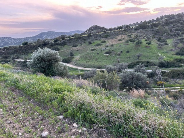 5 DECADES OF LAND WITH RIGHT OF ROAD NEXT TO ISKELE AĞILLAR VILLAGE QUALIFIED FIELD