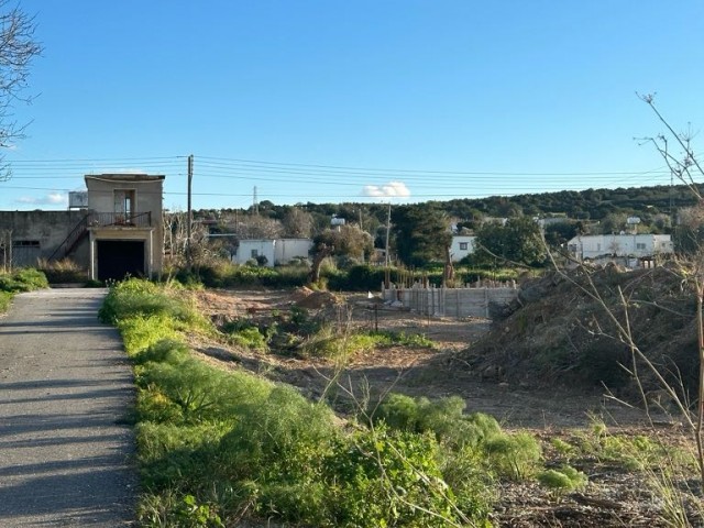 Grundstück mit Strom und Asphaltstraße innerhalb des Dorfes in Dipkarpaz