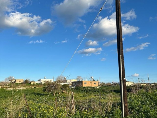 Grundstück mit Strom und Asphaltstraße innerhalb des Dorfes in Dipkarpaz