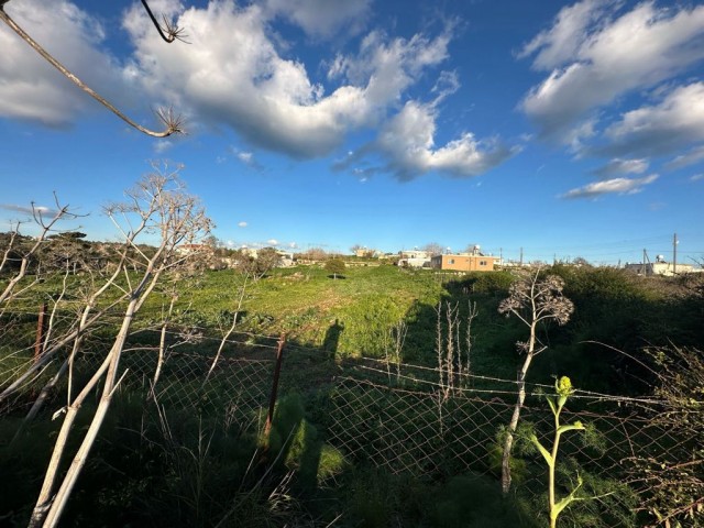 Grundstück mit Strom und Asphaltstraße innerhalb des Dorfes in Dipkarpaz