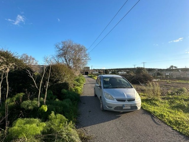 Grundstück mit Strom und Asphaltstraße innerhalb des Dorfes in Dipkarpaz