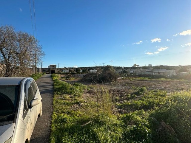 Grundstück mit Strom und Asphaltstraße innerhalb des Dorfes in Dipkarpaz