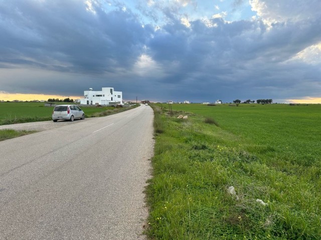 Ein Feld neben der Straße zwischen Famagusta Mormenekşe und der Hauptstraße Mutluyaka steht zum Verk