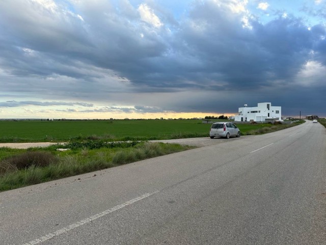 Ein Feld neben der Straße zwischen Famagusta Mormenekşe und der Hauptstraße Mutluyaka steht zum Verkauf.