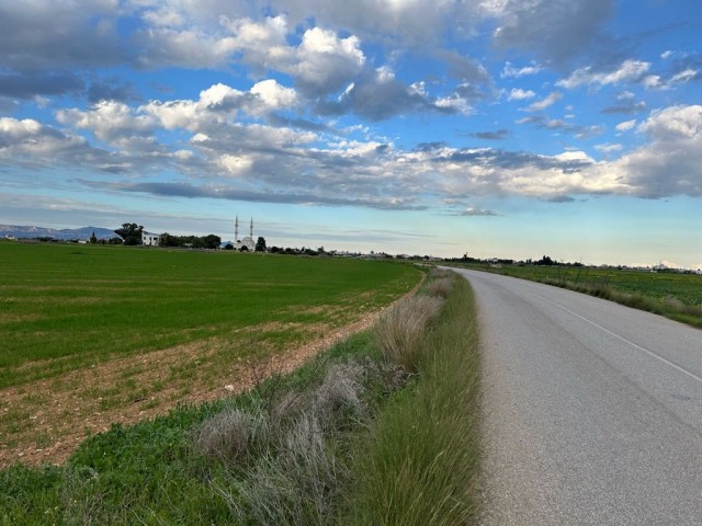 Ein Feld neben der Straße zwischen Famagusta Mormenekşe und der Hauptstraße Mutluyaka steht zum Verkauf.