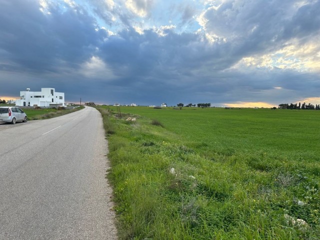 Ein Feld neben der Straße zwischen Famagusta Mormenekşe und der Hauptstraße Mutluyaka steht zum Verkauf.