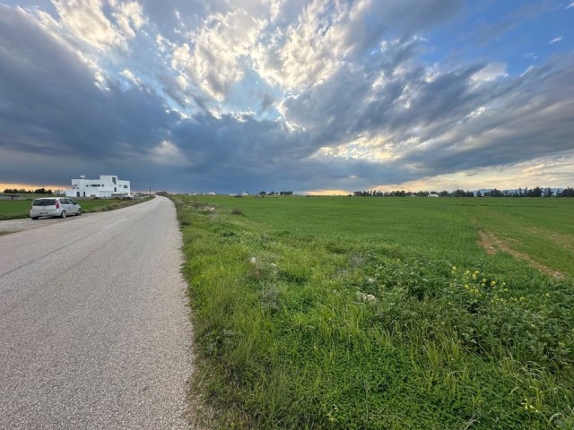 Ein Feld neben der Straße zwischen Famagusta Mormenekşe und der Hauptstraße Mutluyaka steht zum Verkauf.