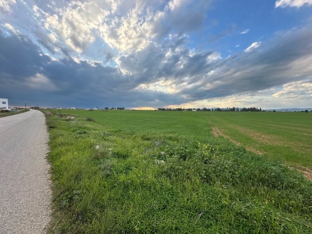 Ein Feld neben der Straße zwischen Famagusta Mormenekşe und der Hauptstraße Mutluyaka steht zum Verkauf.