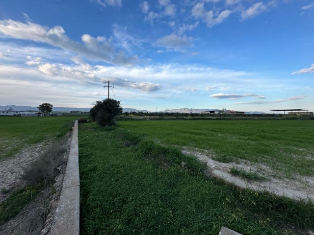 Turkish land in Sütlüce